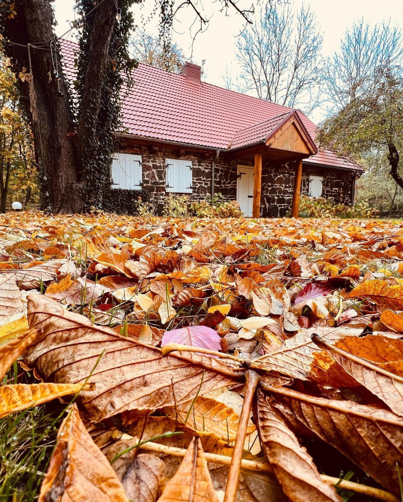 Dom Sprzedaż Czarnybród