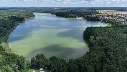 Dom Sprzedaż Lgiń