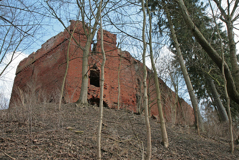 Działka Sprzedaż Pokrzywno 9