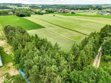 Działka Sprzedaż Kobysewo Długa Ryga