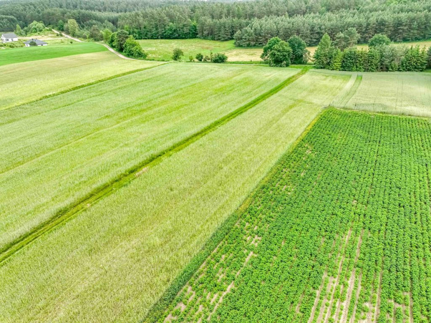 Działka Sprzedaż Kobysewo Długa Ryga 16