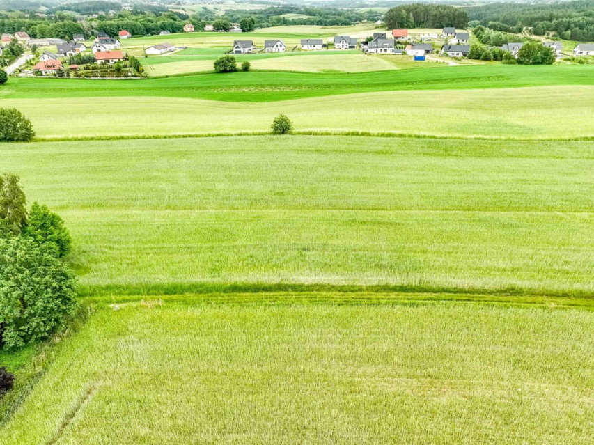 Działka Sprzedaż Kobysewo Długa Ryga 17