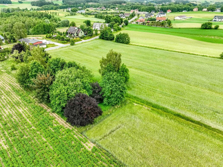 Działka Sprzedaż Kobysewo Długa Ryga 15