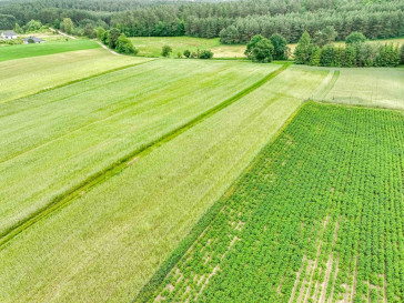 Działka Sprzedaż Kobysewo Długa Ryga