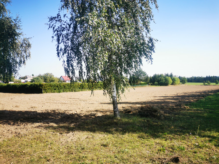 Działka Sprzedaż Pawłowo 3