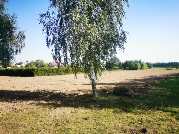 Działka Sprzedaż Pawłowo