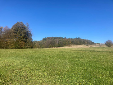 Działka Sprzedaż Trzebunia