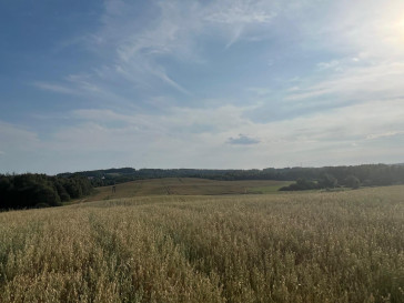 Działka Sprzedaż Starkowa Huta