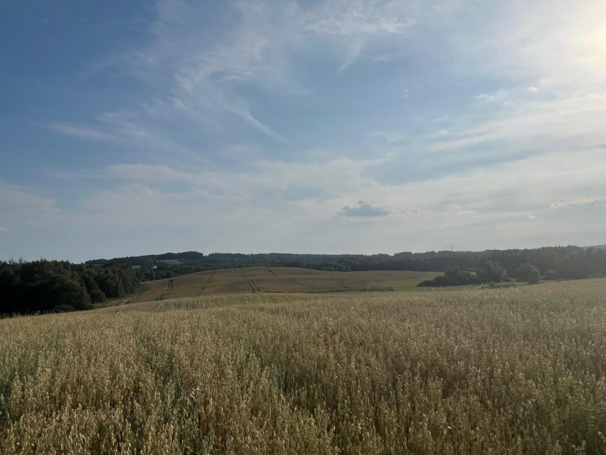 Działka Sprzedaż Starkowa Huta 1