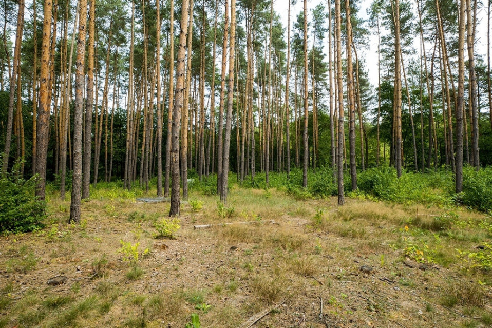 Działka Sprzedaż Otwock Krecia 10