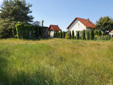 Działka Sprzedaż Wieleń