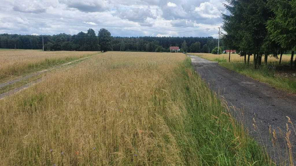 Działka Sprzedaż Sulbiny Górna 2