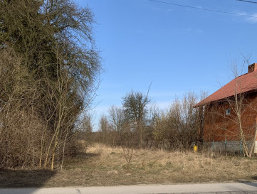 Działka Sprzedaż Sitowa