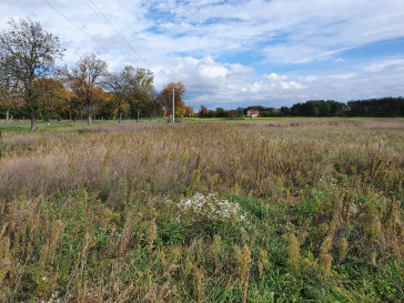 Działka Sprzedaż Wilków Jarzębinowa