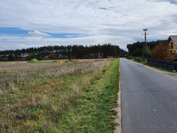 Działka Sprzedaż Wilków Jarzębinowa