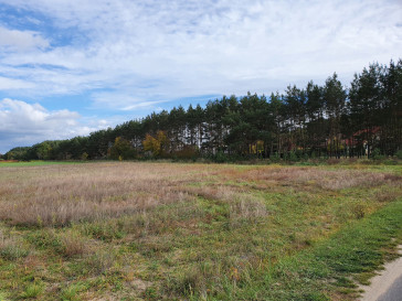 Działka Sprzedaż Wilków Jarzębinowa