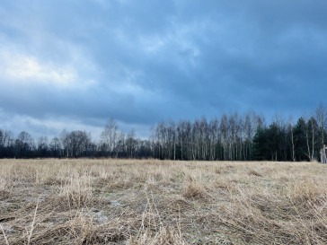 Działka Sprzedaż Uwieliny Główna