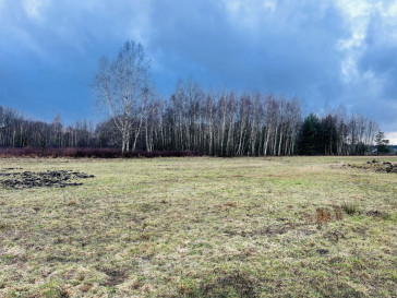 Działka Sprzedaż Uwieliny Główna