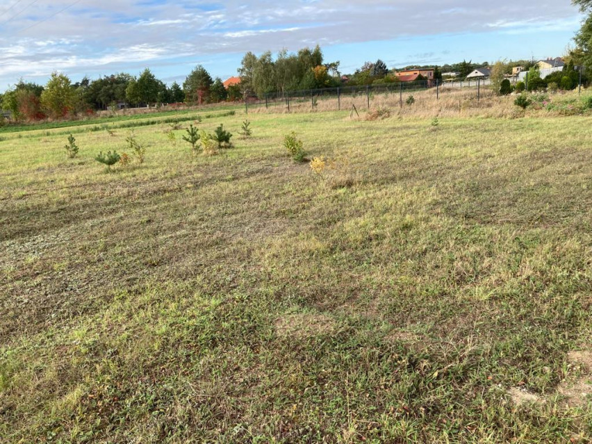 Działka Sprzedaż Wieniec Leśna 4