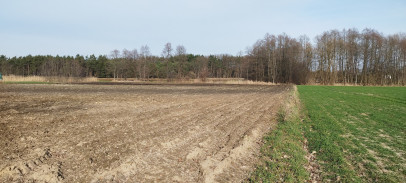 Działka Sprzedaż Zarośle Cienkie