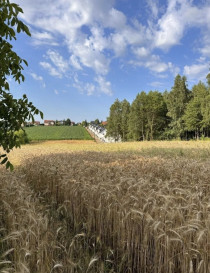 Mieszkanie Sprzedaż Modlnica Jurajska